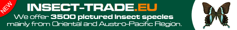 Insect Trade